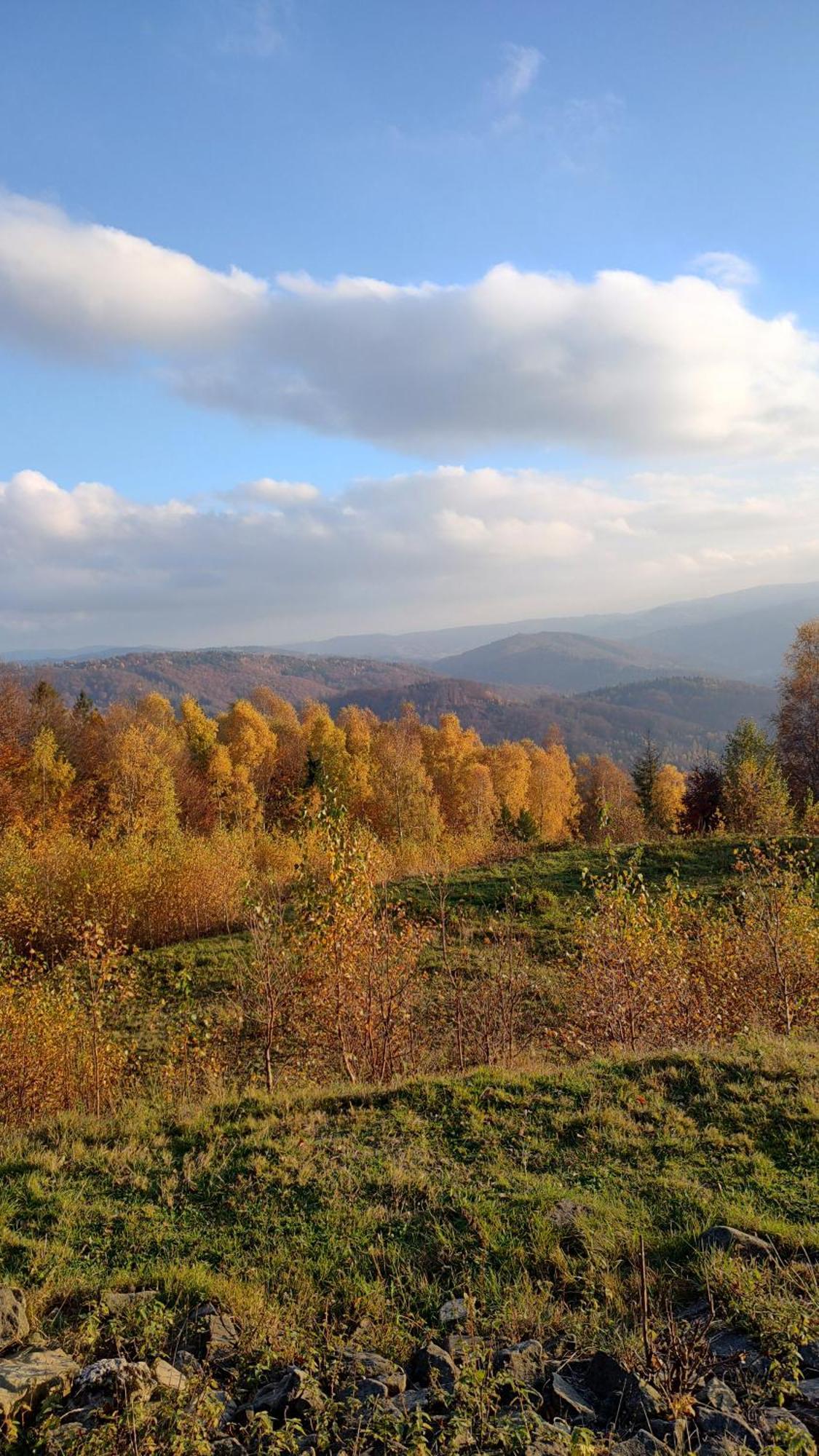 Dog Friendly Dom, Apartamenty Wichrowe Wzgorza Z Basenem Brenna Ustron Exterior photo