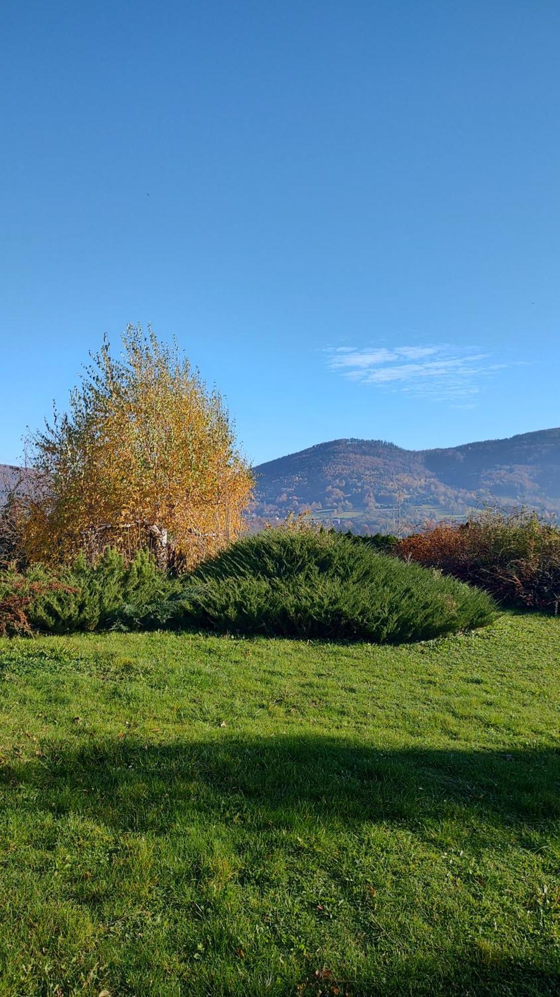 Dog Friendly Dom, Apartamenty Wichrowe Wzgorza Z Basenem Brenna Ustron Exterior photo